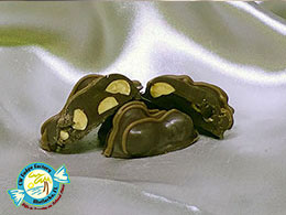 CW FUDGE FACTORY MATLACHA FLORIDA