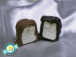 CW FUDGE FACTORY MATLACHA FLORIDA