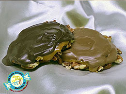 CW FUDGE FACTORY MATLACHA FLORIDA