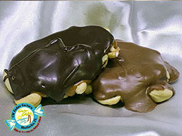 CW FUDGE FACTORY MATLACHA FLORIDA