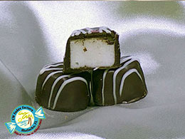 CW FUDGE FACTORY MATLACHA FLORIDA