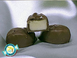 CW FUDGE FACTORY MATLACHA FLORIDA