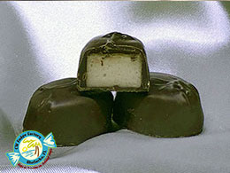 CW FUDGE FACTORY MATLACHA FLORIDA