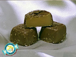 CW FUDGE FACTORY MATLACHA FLORIDA