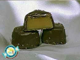 CW FUDGE FACTORY MATLACHA FLORIDA