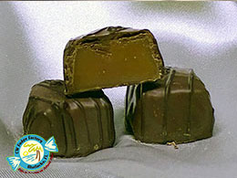 CW FUDGE FACTORY MATLACHA FLORIDA