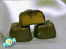 CW FUDGE FACTORY MATLACHA FLORIDA
