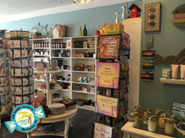 CW FUDGE FACTORY MATLACHA FLORIDA